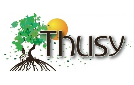 Commune de THUSY
